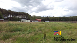 Budynek Socjalono-biurowy z magazynami na działce 2,32ha w miejscowości Racula na sprzedaż!!!